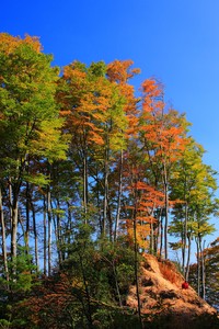 阿尔巴尼亚队客场告捷，欧预赛前景大好
