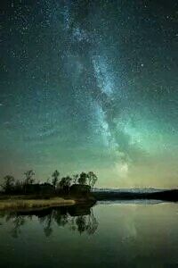 观众互动：球迷狂欢场面火爆动容