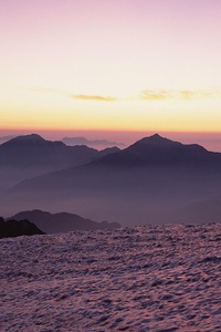 塞尔维亚憾负，小组形势岌岌可危